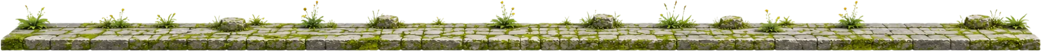 pet runner