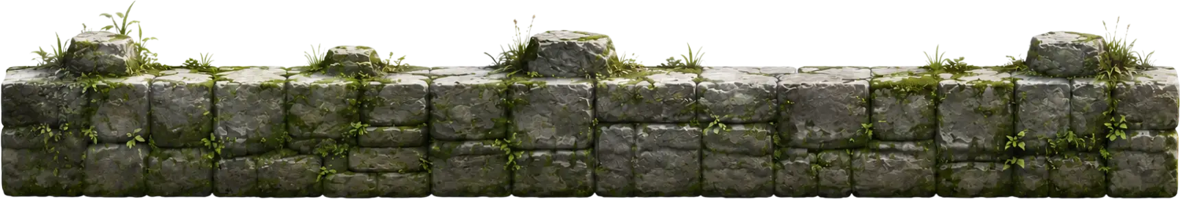 wall pet
