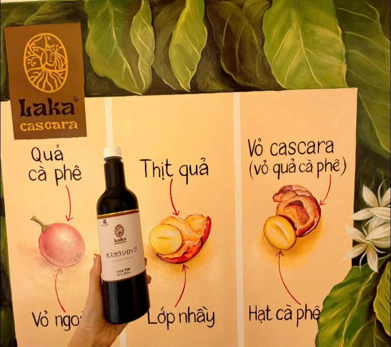 Cascara chanh vàng